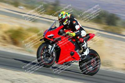 media/Jan-13-2024-SoCal Trackdays (Sat) [[9c032fe5aa]]/Turn 14 (10am)/